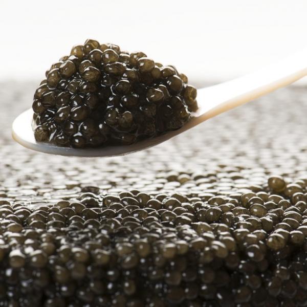 caviar malossol cartagena luxspain la trastienda